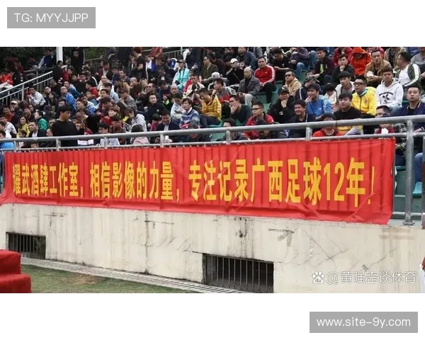 升班马生存法则：辽宁铁人、重庆铜梁龙、大连英博的不同建队思路对比