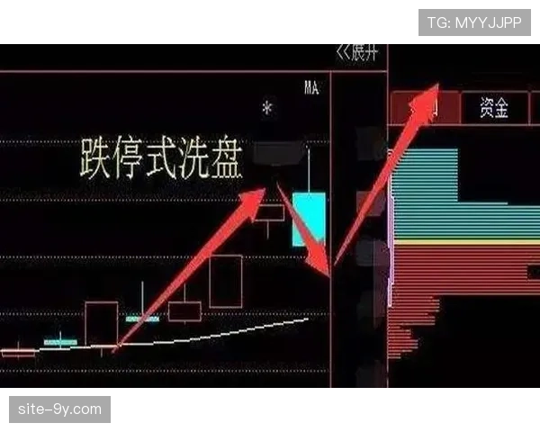 “分析：高位压迫遇冷，低位防反成为英超保级队生存教科书”
